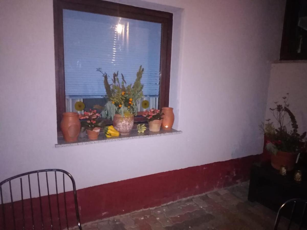 Ferienhaus Badetz エクステリア 写真